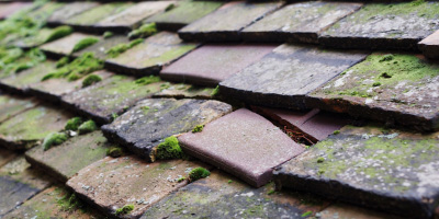 Shirebrook roof repair costs
